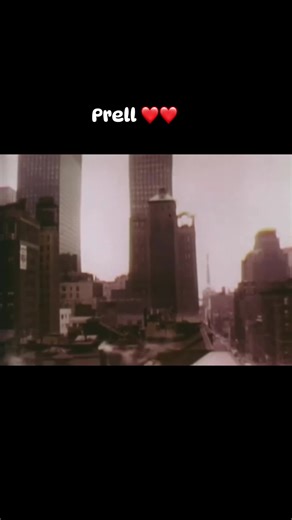 Prell Shampoo: Iconic Retro 1970s Hair Care