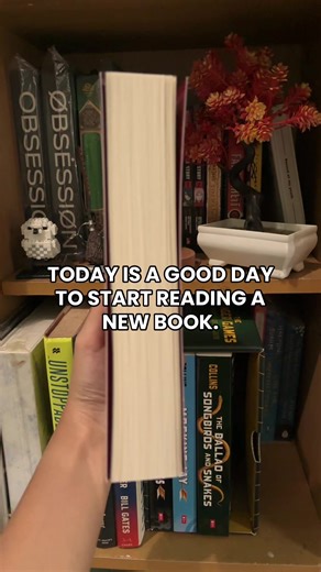 Catching Fire: Your Next Must-Read Book Recommendation