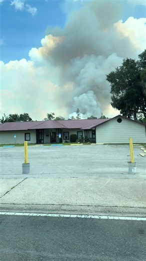 What is happening!? 🔥Silver Springs State Park looks like it’s on fire! 🙏 #Ocala #ThingsToDoOcala #MarionCounty #ocalanationalforest #silversprings