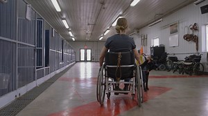 Saviez-vous que la Fondation Mira doit investir 30 000$ pour la formation de chacun de ses chiens-guides et d'assistance, qui sont remis gratuitement à près de 200 personnes par année? Depuis sa création en 1981, Mira a remis plus de 3 500 chiens à des gens qui bénéficient maintenant d'une meilleure qualité de vie et surtout, d'une plus grande autonomie. 🙂 #Mira30Jours #FondationMira | Fondation Mira