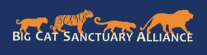 Our Work - Big Cat Sanctuary Alliance