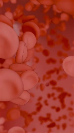 3D Animation Practice: Creating Blood Cells with Blender