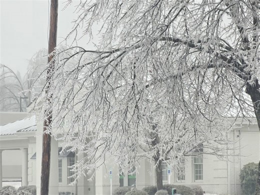 Locals react after winter storm causes severe damage in Oxford, MS