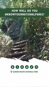 1.1K views · 33 reactions | Have you tested your knowledge to see how...