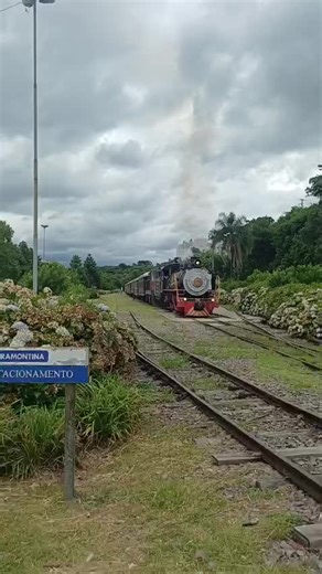 Os vídeos de Alexa da Silva (@alexa_silva2) com som original - pr Francisco #pr terapeuta