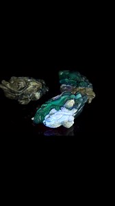 The three - legged golden toad in China | From nature