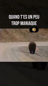 1.7K views · 13K reactions | Est ce que toi aussi tu ne supportes pas...