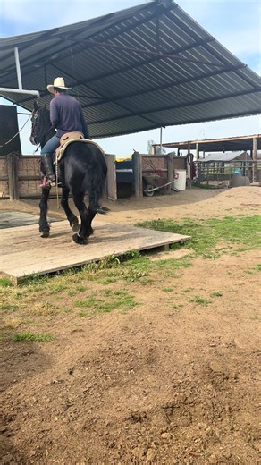 Baila Conmigo: A Fiesta Celebration in Oaxaca
