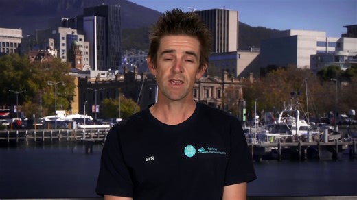 CSIRO encourages scientists to apply to work on RV Investigator