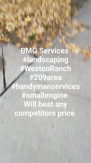 BMG Services #landscaping #WestonRanch #209area #handymanservices #smallengine Will beat any competitors price | Bryan Gutierrez