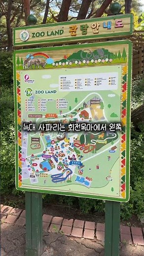 6월 5일 재개장한 오월드 소식🍀 #대전중구 #중구소셜미디어서포터즈