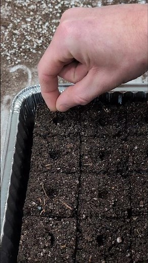 Soil Blocking Easy Seed Starting Tutorial #seedstarting #indoorgrowing #asmr