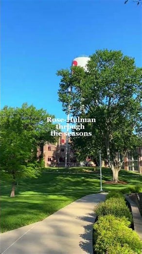 Loving Rose through all the seasons. 🌷❄️☀️🍂