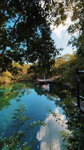 6.6K reactions · 120 shares | Descubre Family Concierge en Paradisus Playa del Carmen y disfruta de exclusivas instalaciones y amenidades; así como de un restaurante muy cerca de ti. Además, como parte de nuestro programa Destination Inclusive, vive la experiencia de visitar un cenote real: una maravilla natural que espera ser explorada. Haz que cada momento en familia sea extraordinario.  #ParadisusPlayaDelCarmen #ParadisusByMeliá | Paradisus by Melia | Facebook