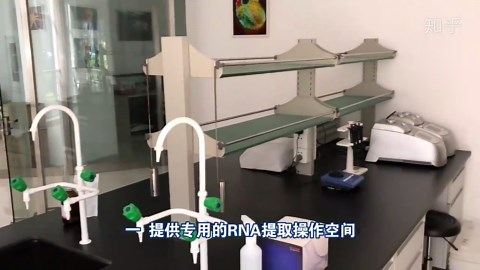 手把手教你做实验_RNA提取(准备工作）