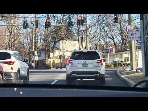 Elinor and Friends At Route NY-100C End Sign! Hawthorne NY Episode 3936