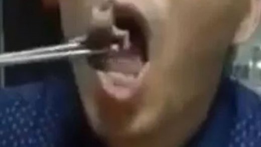 Disgusting moment Chinese man dips and eats baby mice alive