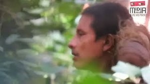 Rare footage of Brazil tribe 'is evidence' of new threat from logging