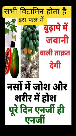 सभी विटामिन से भरा हुआ फल || #viral shorts #tredingvideo