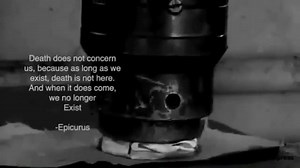 26K views · 371 reactions | Action Packed Memes on Reels | Facebook