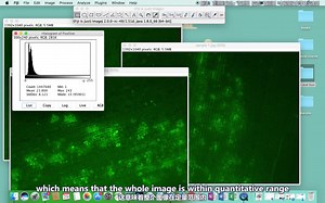 激光共聚焦显微镜 CLSM 从入门到专家！ImageJ对比样品荧光强度指南！ 二十七