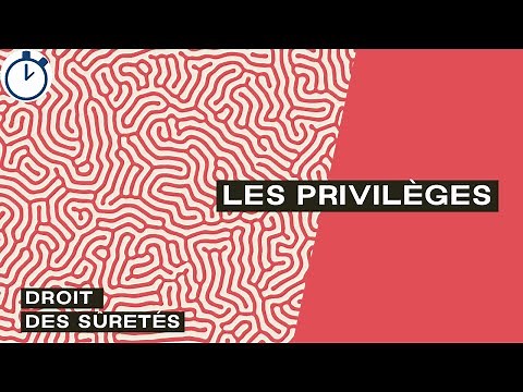 Les Privilèges (généraux, mobiliers et immobiliers) : [Droit des sûretés]