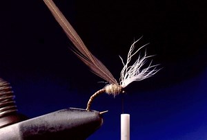 Blue Quill Parachute