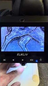 Coins Worth Money - 2005 Bison Nickel Detached Leg Error Coin #coinsworthmoney #coincollecting