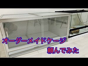 【Ark~Cage】さんのオーダーメイドケージをブラッドパイソンにプレゼント！