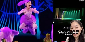 The Viral TikTok Bunny Turtle Dance, Is Actually A Satire About The Education System