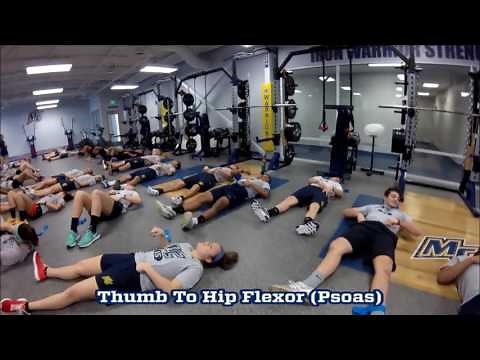 Merrimack Track 2017 Reflexive Performance Reset Warmup