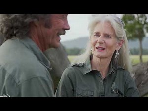 MNC Vision, Satu-satunya PAY TV dengan Teknologi S-Band dan Tayangan Terlengkap!