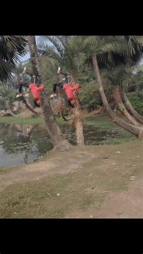 Robiul Laskor on Instagram: "♡1M ㅤ 🗨️50Kㅤ ⎙20Kㅤ ⌲10K #lipstik #shadowsense #amitfam #alonedesignphotowork #amitphotography💯📸 #alonedesign#wideanglephotography#sonuediting #denimlook #smudgeproof #alonedesignvlog #fashionbloggeri #dream20k #senegencedistributor #officelook #amitfame #lipsensedistributor #makeuptutorial #jeanslovers #deminlook #lipsticklover #lipstickaddict #outdoorportraits #waterproofmakeup #natureportrait #wideanglephotograph#lipstikhalal#kosmetikviral"