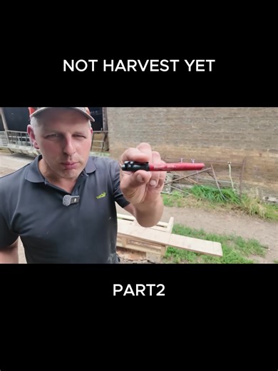 George Saunders on TikTok