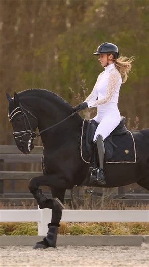 3 Of The Most Powerful Black Horses In The World #horse #shorts