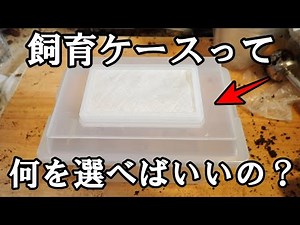 【ケース紹介】ケースって何を使えばいいの？