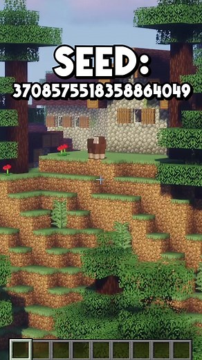 Las Mejores Seeds De #minecraft 1.17 Java Parte 2 #minecrafthacks #tips #curiosidades #consejos #reiginblast #parati #pt #foryou #fy #fyp #4u
