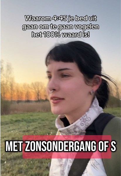 Ontdek de prachtige wereld van vogels in Nederland