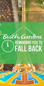 3K views · 62 reactions | It's almost time to "fall back" the clocks! Or rather, backwards launch the clocks ⚡ | Busch Gardens Williamsburg | Facebook