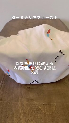 ターミナリアファースト ダイエット裏技と効果について