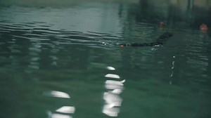 So Cool | Smartphones & Tech