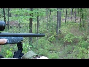 2011 Opening day Doe kill with .444