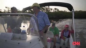 11K views · 98 reactions | Toxic algae bloom is devastating the coast...