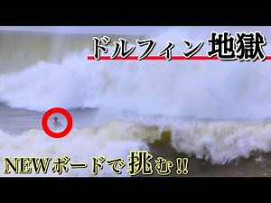 【5時間サーフでドルフィン100回以上？？】新しい板でドルフィン地獄のコンディションに挑戦！