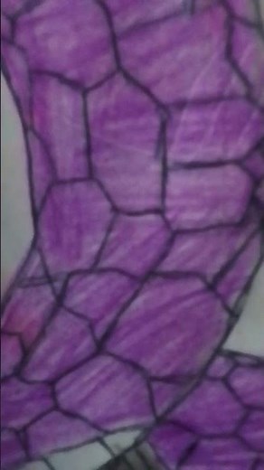 Sasuke and aoda 💜