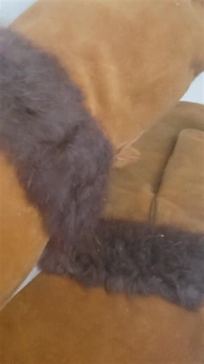 Vintage Elk Skin Mittens: Fur Trimmed Leather Gauntlets - Etsy UK