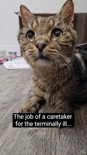 84K views · 2.9K reactions | The thing about being a caretaker for a...