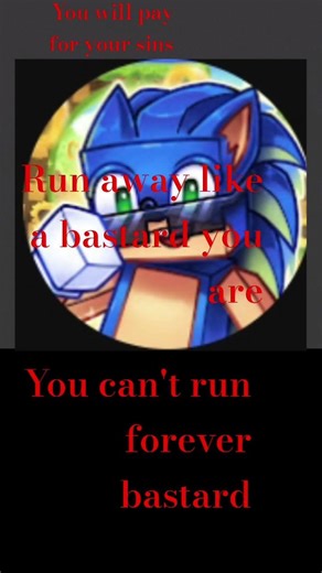 Run sonic#ARG(btw this is just an arg so don't take this seriously)