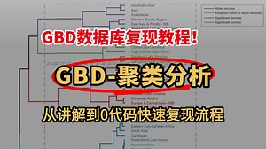 【GBD数据库】0代码复现：GBD数据库文献图表—聚类分析，从讲解到0代码复现全流程-医学生必看！