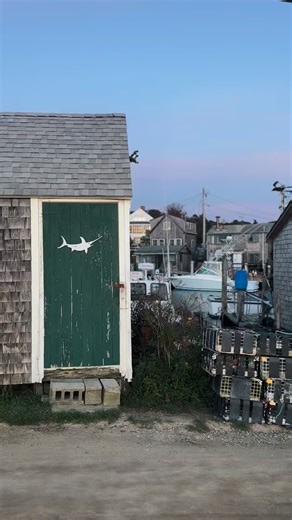 Follow Along: A Day in the Fall on @VisitMarthasVineyard ✨ Up Island is the best way to start! Slow roll past stone walls and golden light farms , stopping at farm stands for cider donuts and squash. Windows down, leaf-peeping on the farm roads. Here are our next stops: Edgartown: Pop into Edgartown Books for your next read, then stroll to the Edgartown Lighthouse for crisp harbor views and a few pages on the beach. @visitedgartown @edgartownbooks Oak Bluffs: Shop local at Soft as a Grape for co